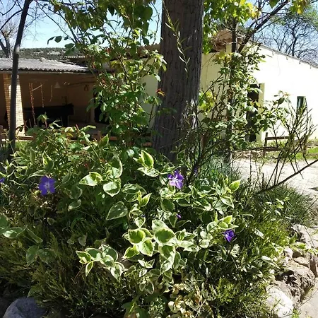 Campsite Yaso-guara
